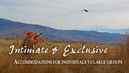 Accommodations for Large and Small Pheasant Hunting Groups
