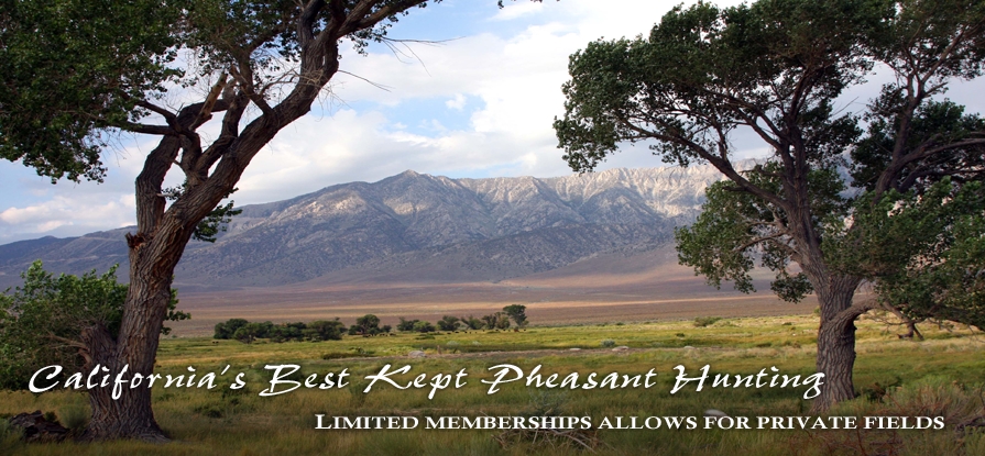 Lone Pine Pheasant Club