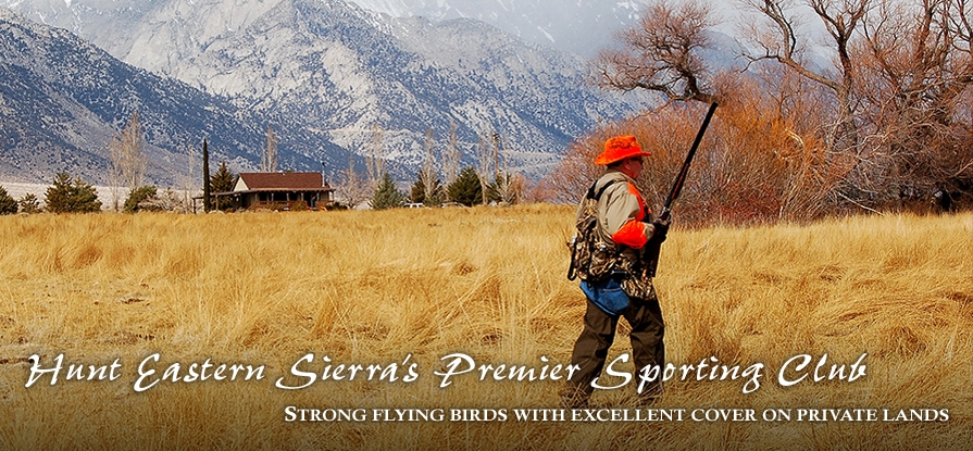 Lone Pine Pheasant Club