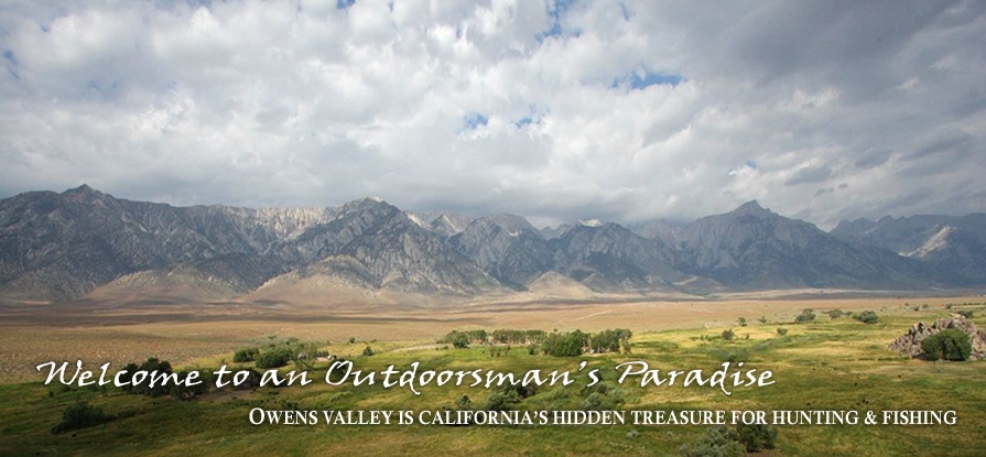 Lone Pine Pheasant Club