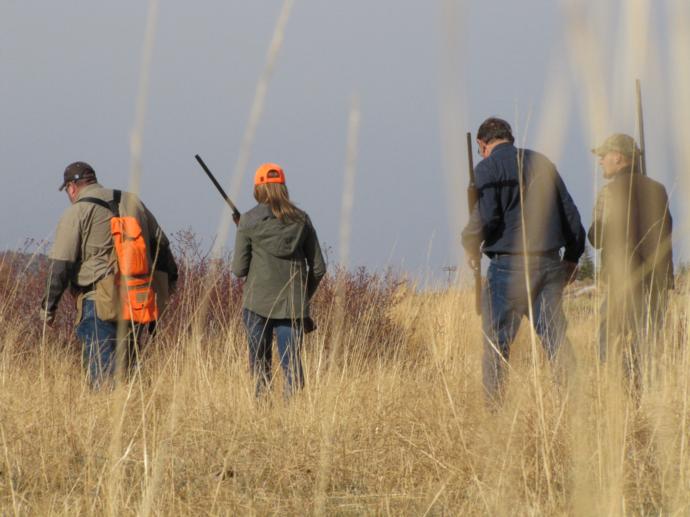 Field Photo